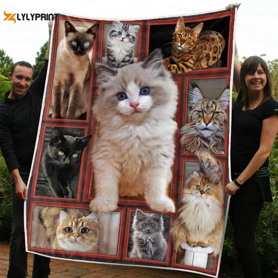 Cat Singing Again 3D Quilt Blanket , Soft Quilt, King Size, All Season Cozy Quilt QB0901