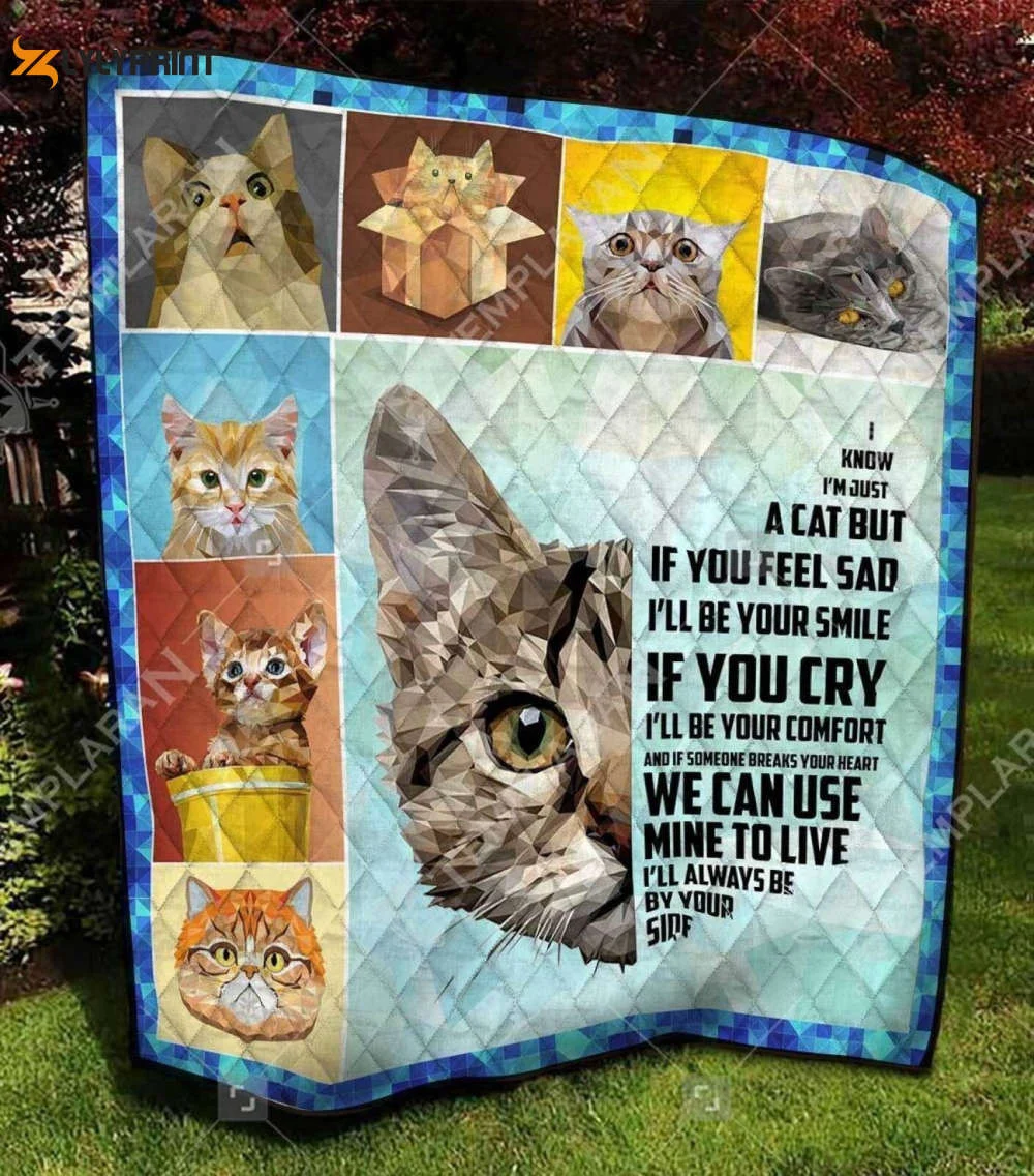 Cat 3D Customized Quilt , Soft Quilt, King Size, All Season Cozy Quilt QB0901